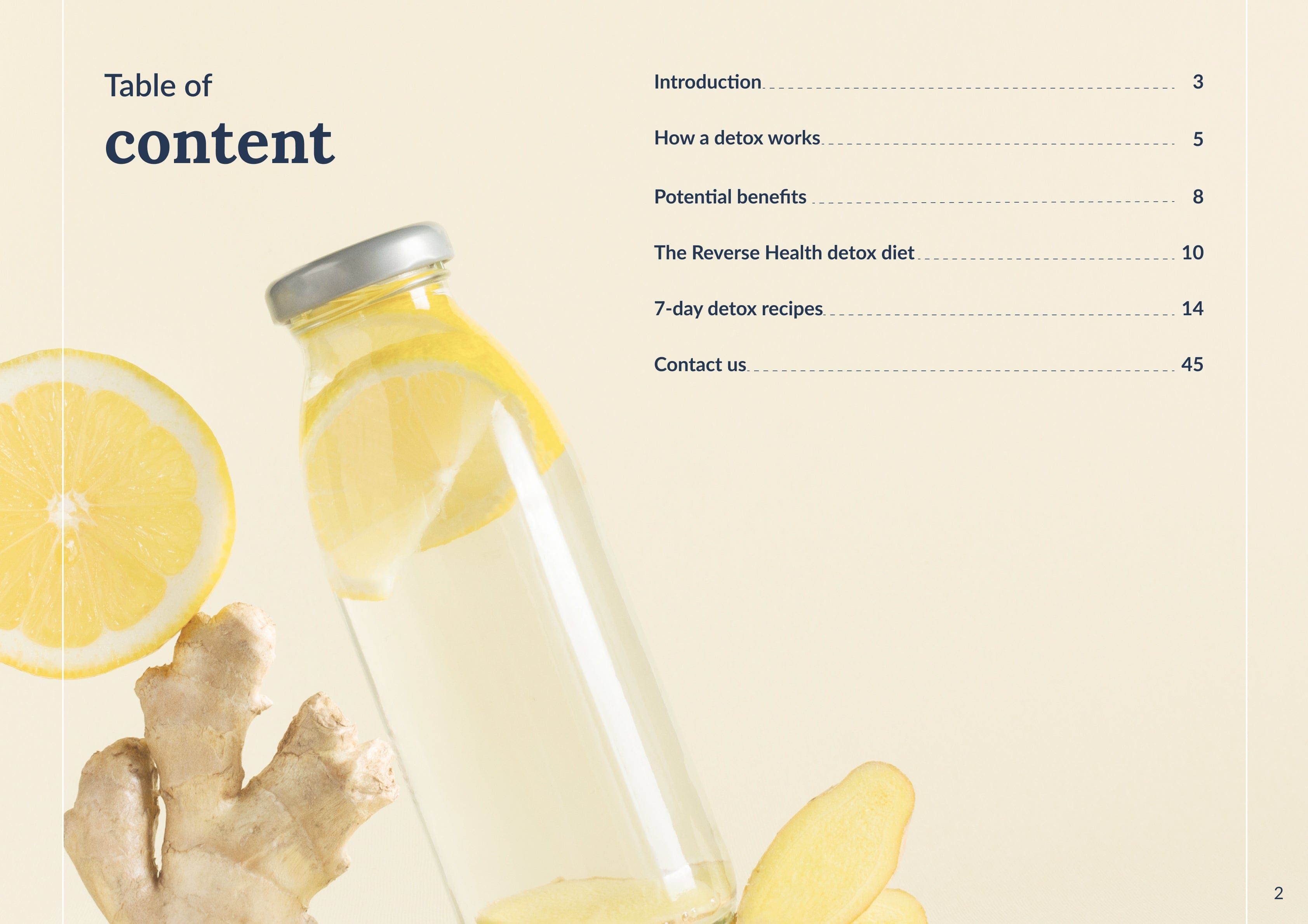 The Detox Diet - step-by-step guide and recipe plan
