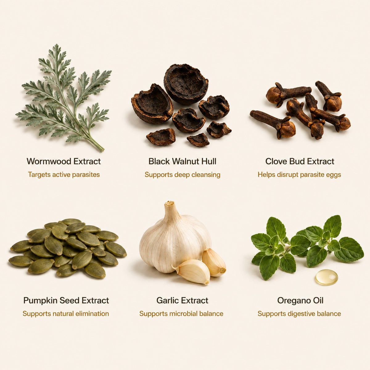 Wellinda® Wormwood Complex Softgels